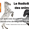 Le Radioshow des Animaux avec L&rsquo;association Coeur de Course à l&rsquo;hyppodrome de Cagnes Sur Mer