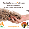 Le Radioshow des Animaux avec Mr Loic Dombreval & Cléa Ethics For Animals & Albert Calamuso