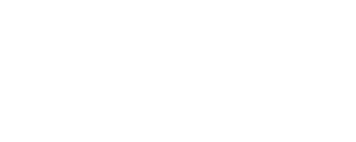 logoNDS-BLANC-300PPI_Vence_simplifie